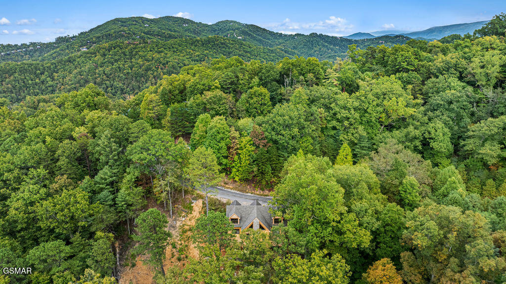 4406 Long Rifle Road Sevierville TN 37862