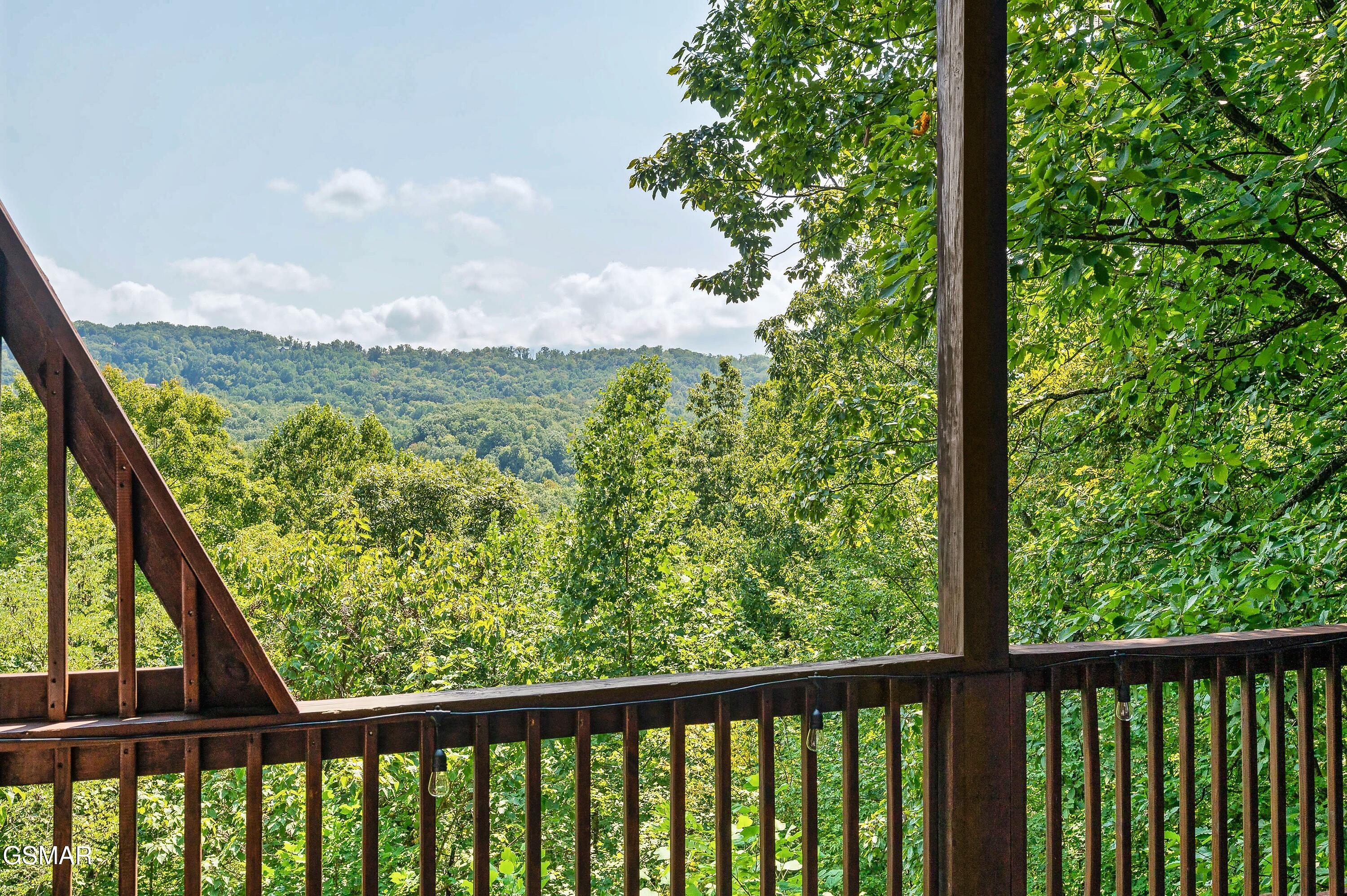 1114 Ski View Lane Sevierville TN 37876