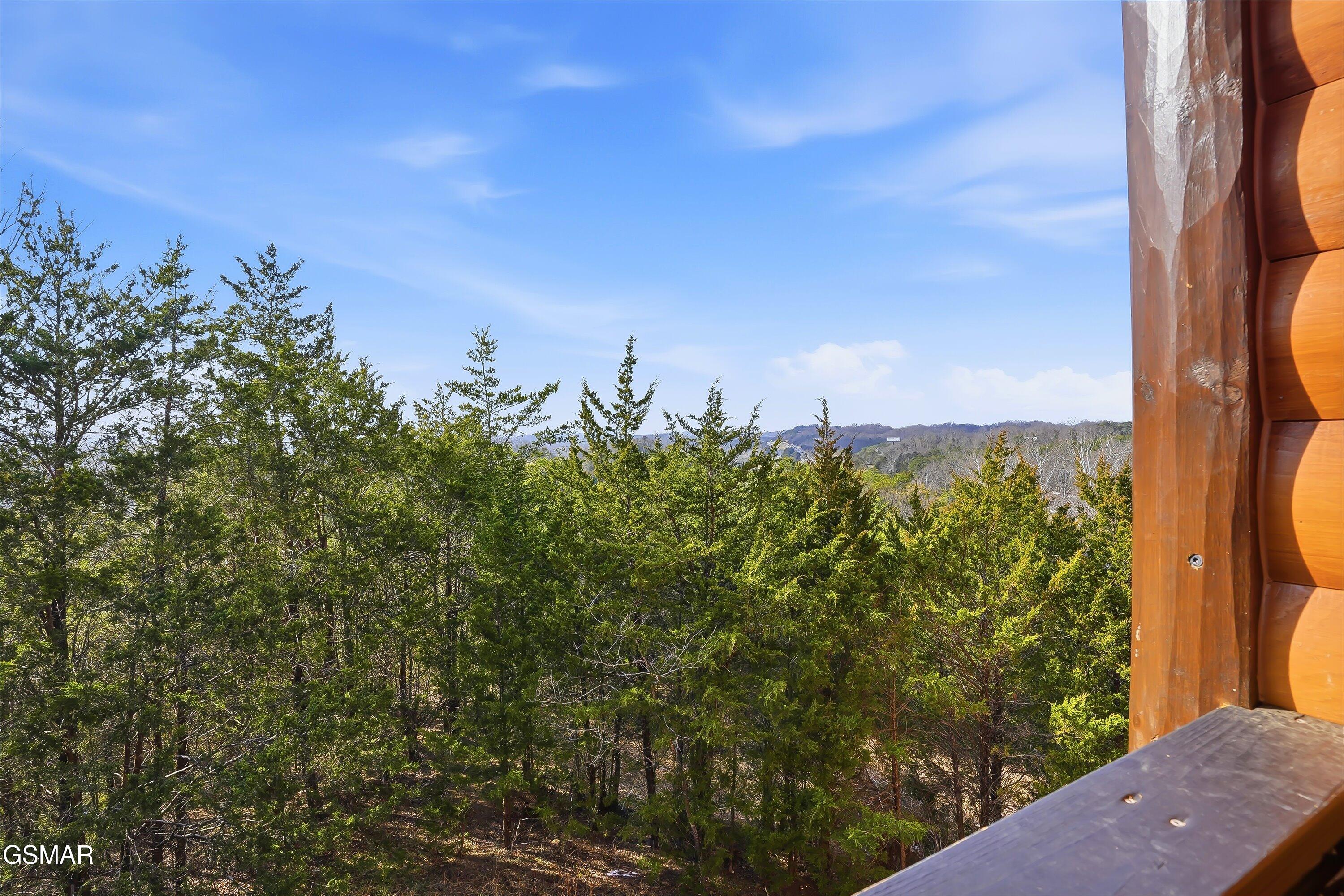 10322 Alex Bales Road Kodak TN 37764