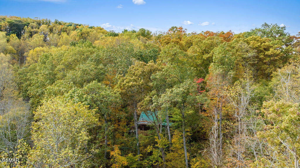 147 Timberwinds Way Townsend TN 37882