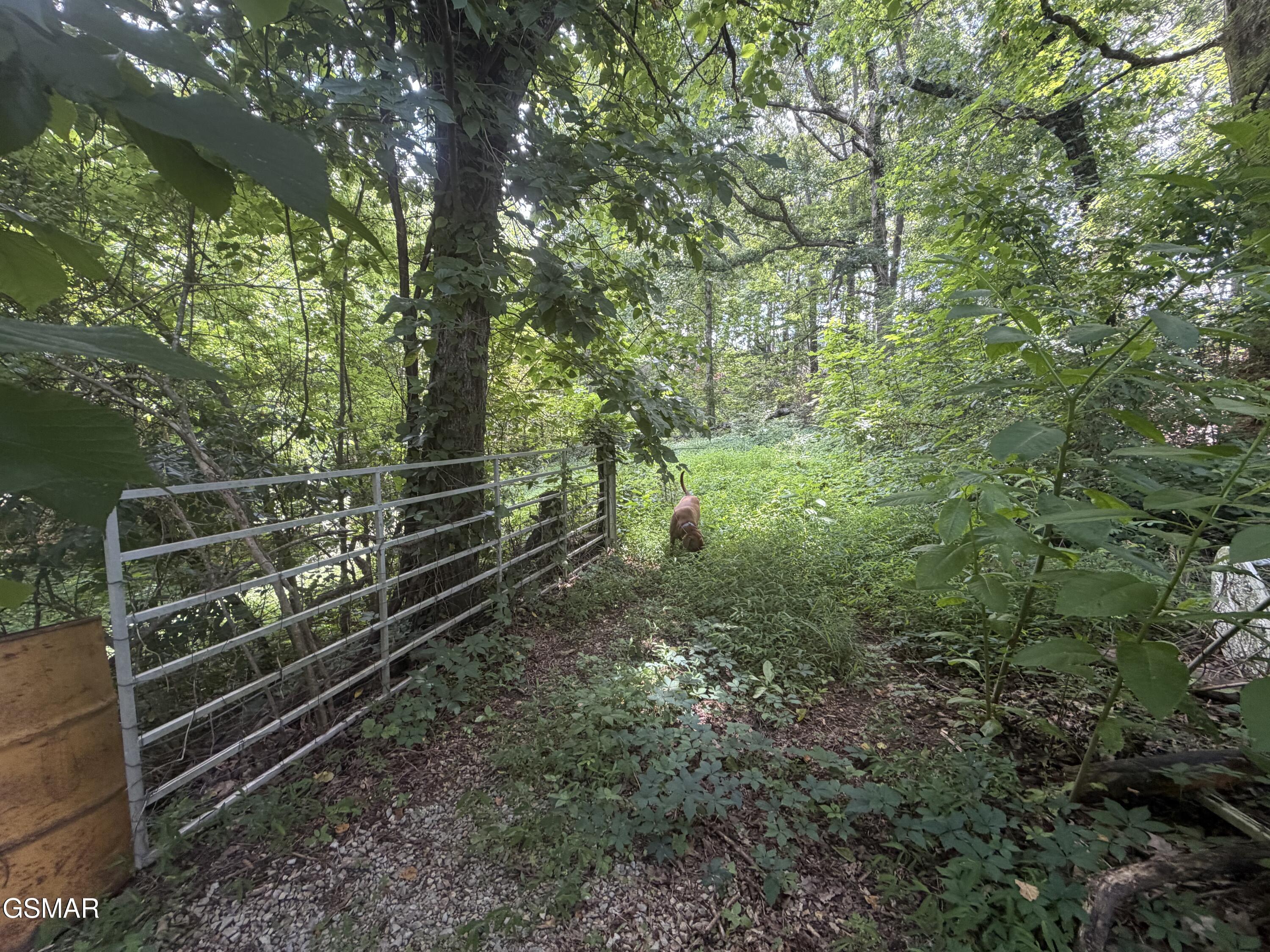 4906 Shady Road Strawberry Plains TN 37871