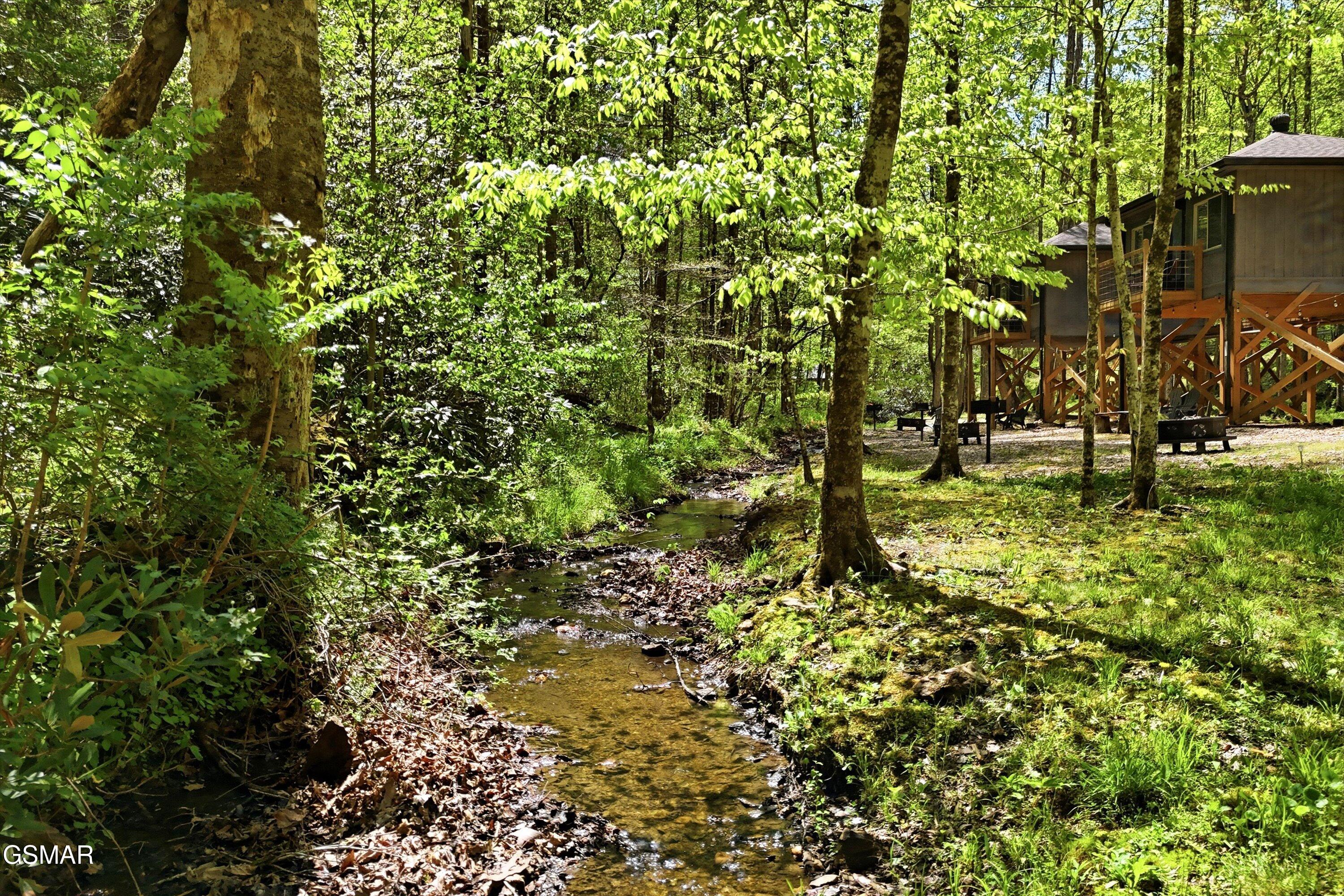 750 Caney Creek Road Cosby TN 37722