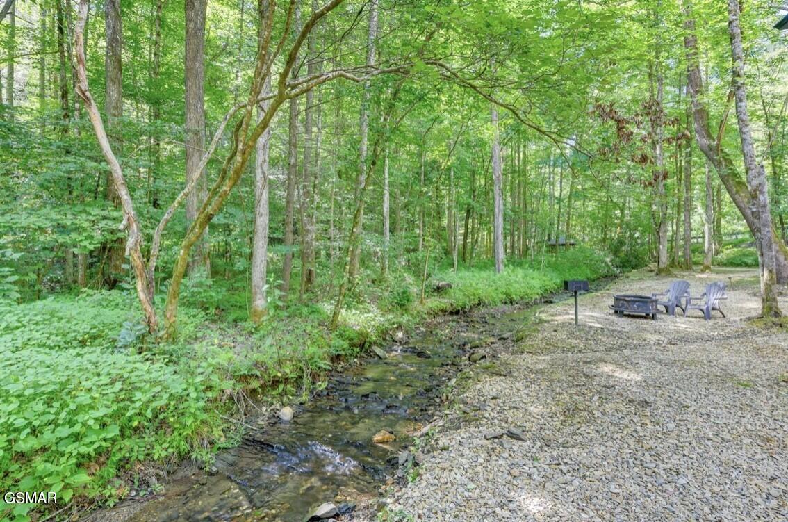 750 Caney Creek Road Cosby TN 37722