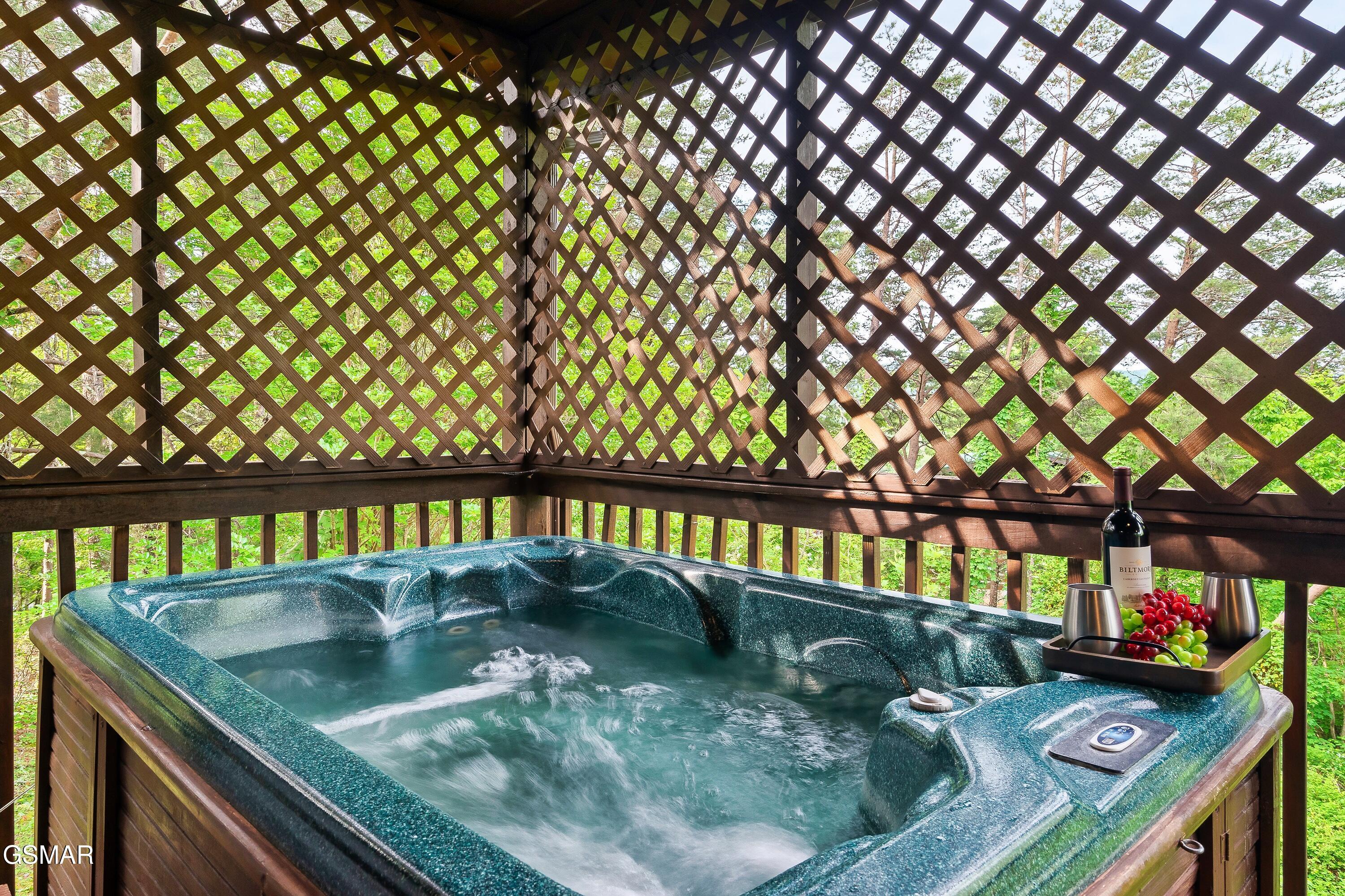 2619 Thad Trail Sevierville TN 37876