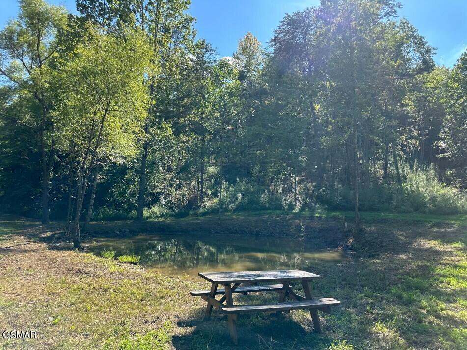 1337 Lake Haven Way Sevierville TN 37876