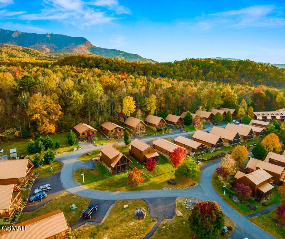 229 Forrest Loop Way Gatlinburg TN 37738