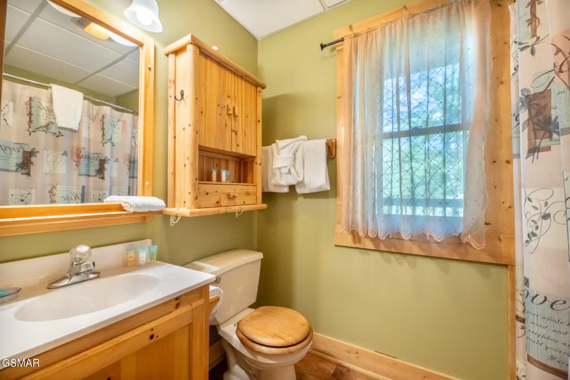 713 Harrier Court Way Pigeon Forge TN 37863