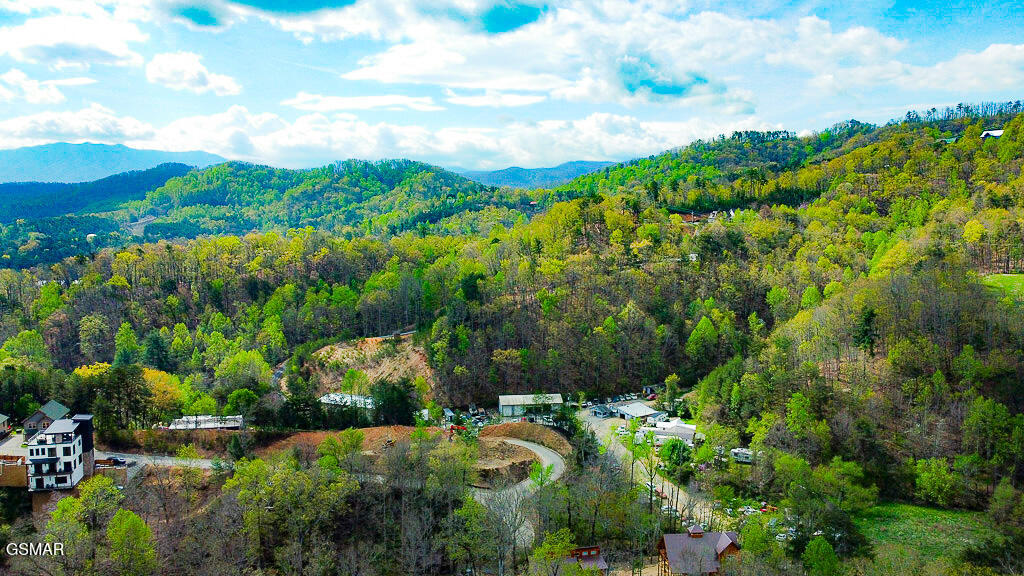 713 Harrier Court Way Pigeon Forge TN 37863