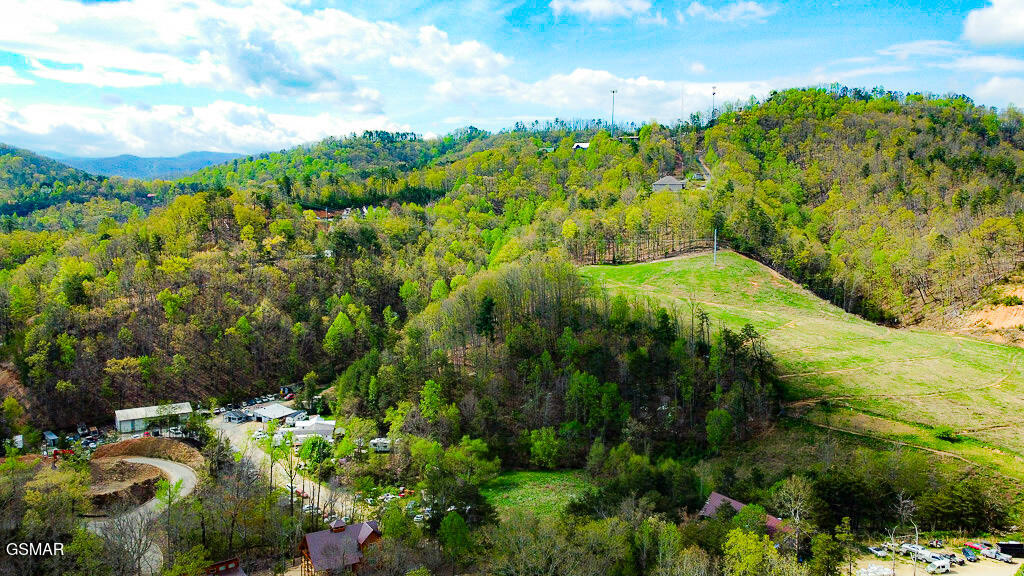 713 Harrier Court Way Pigeon Forge TN 37863