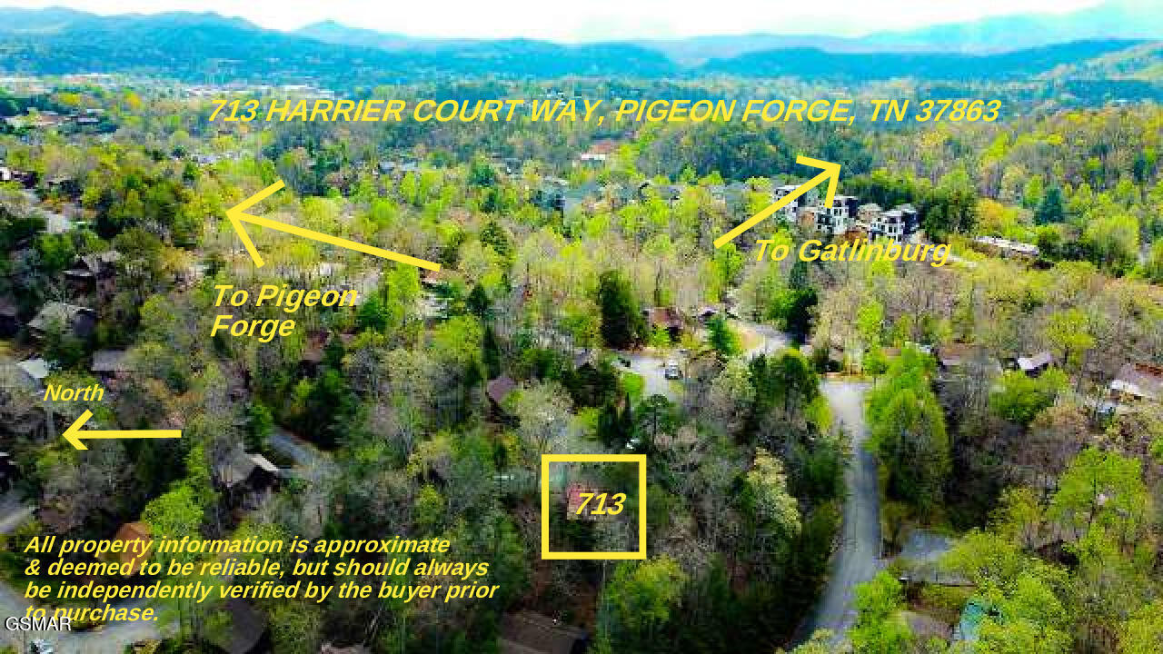 713 Harrier Court Way Pigeon Forge TN 37863