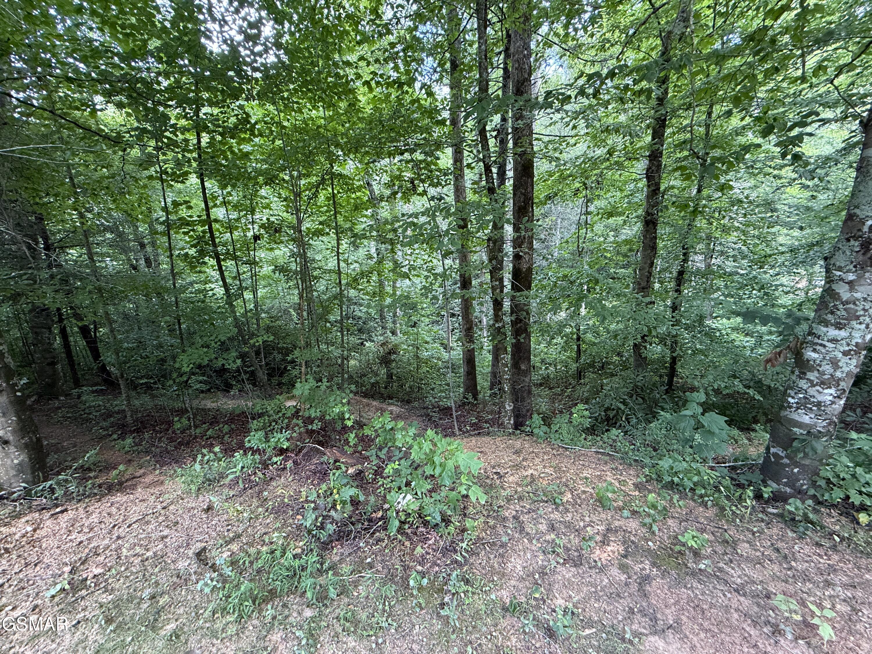 438 Country Square Road Newport TN 37821