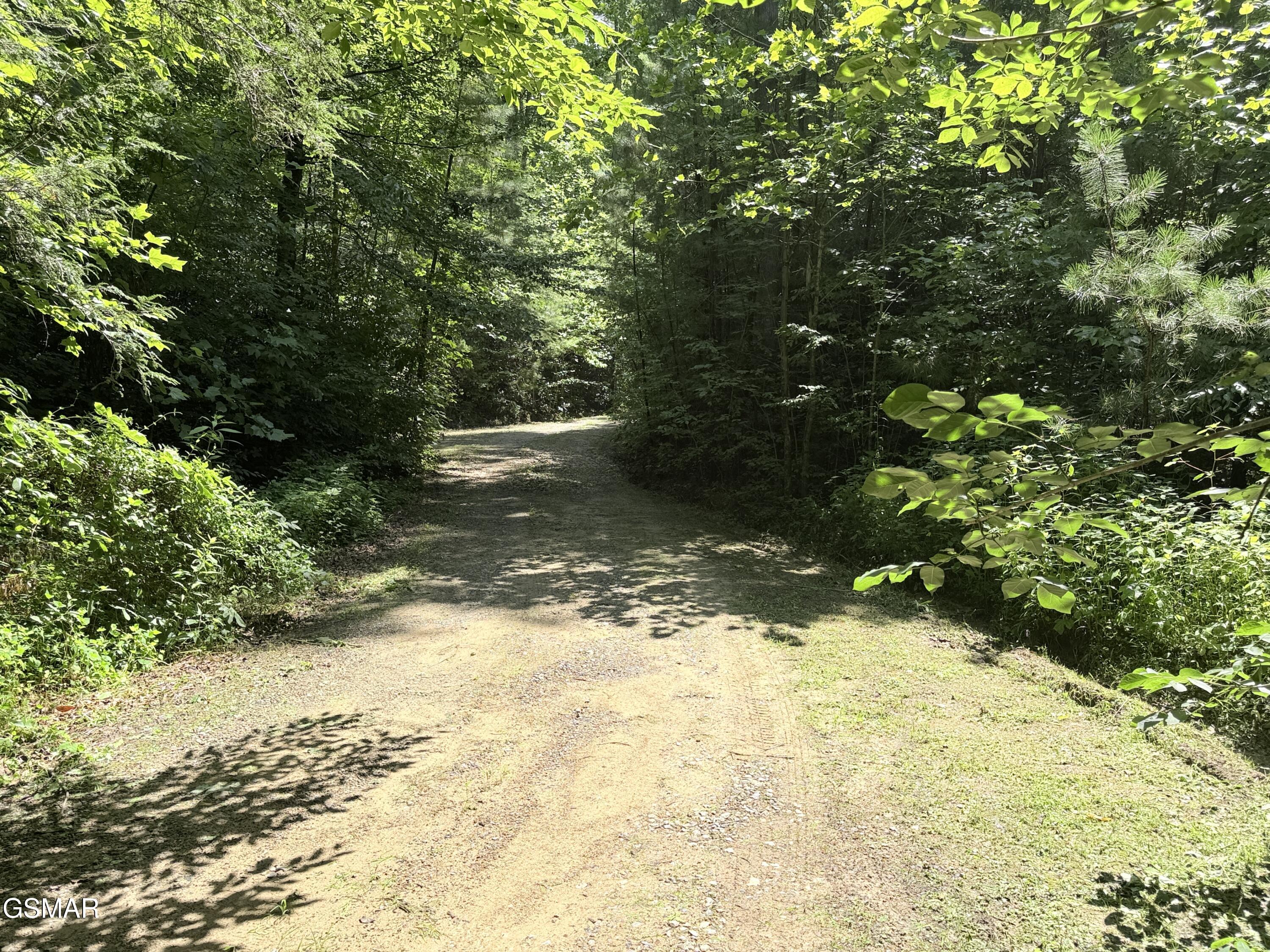 438 Country Square Road Newport TN 37821