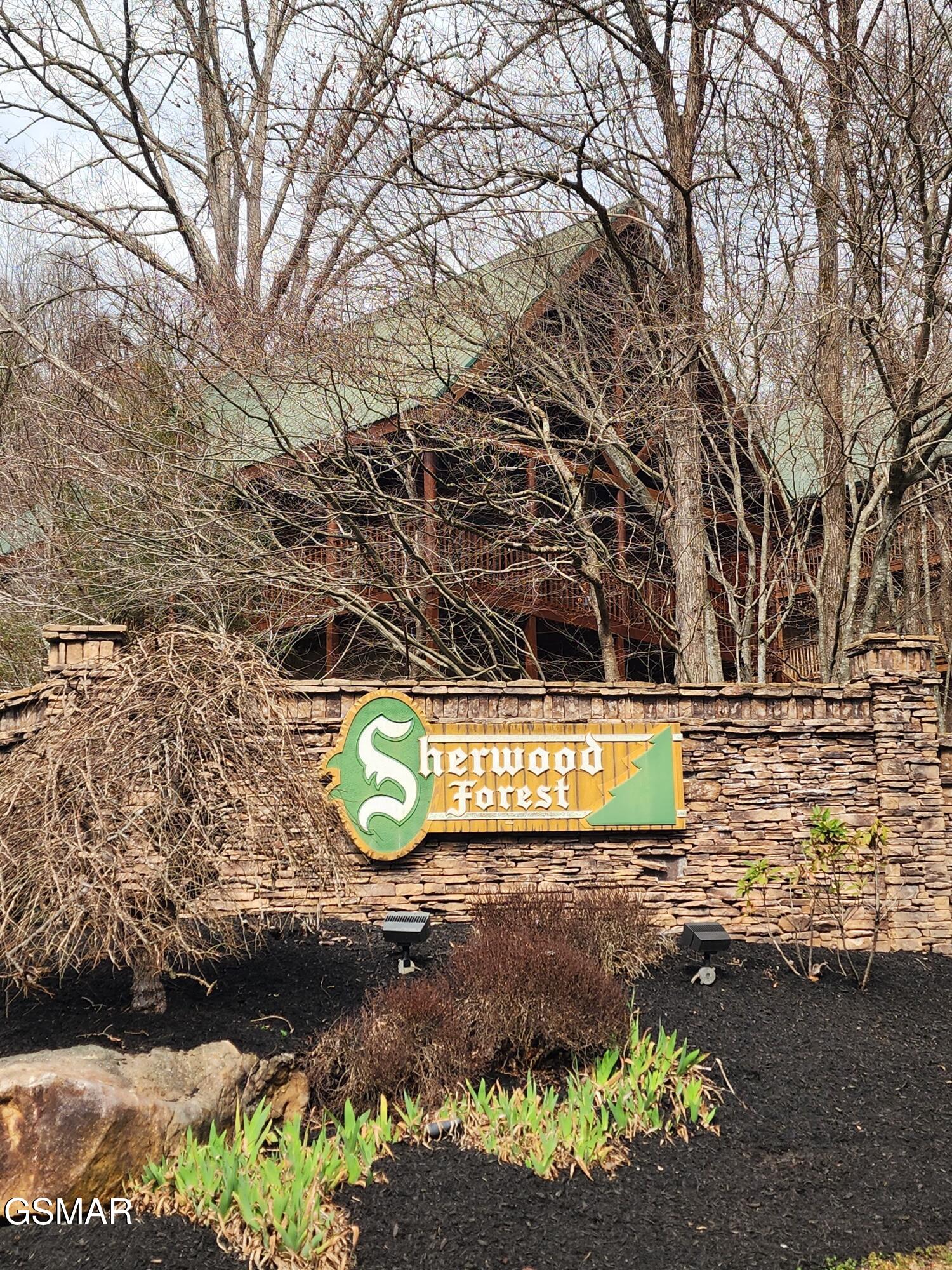 4408 Forest Vista Way Pigeon Forge TN 37863