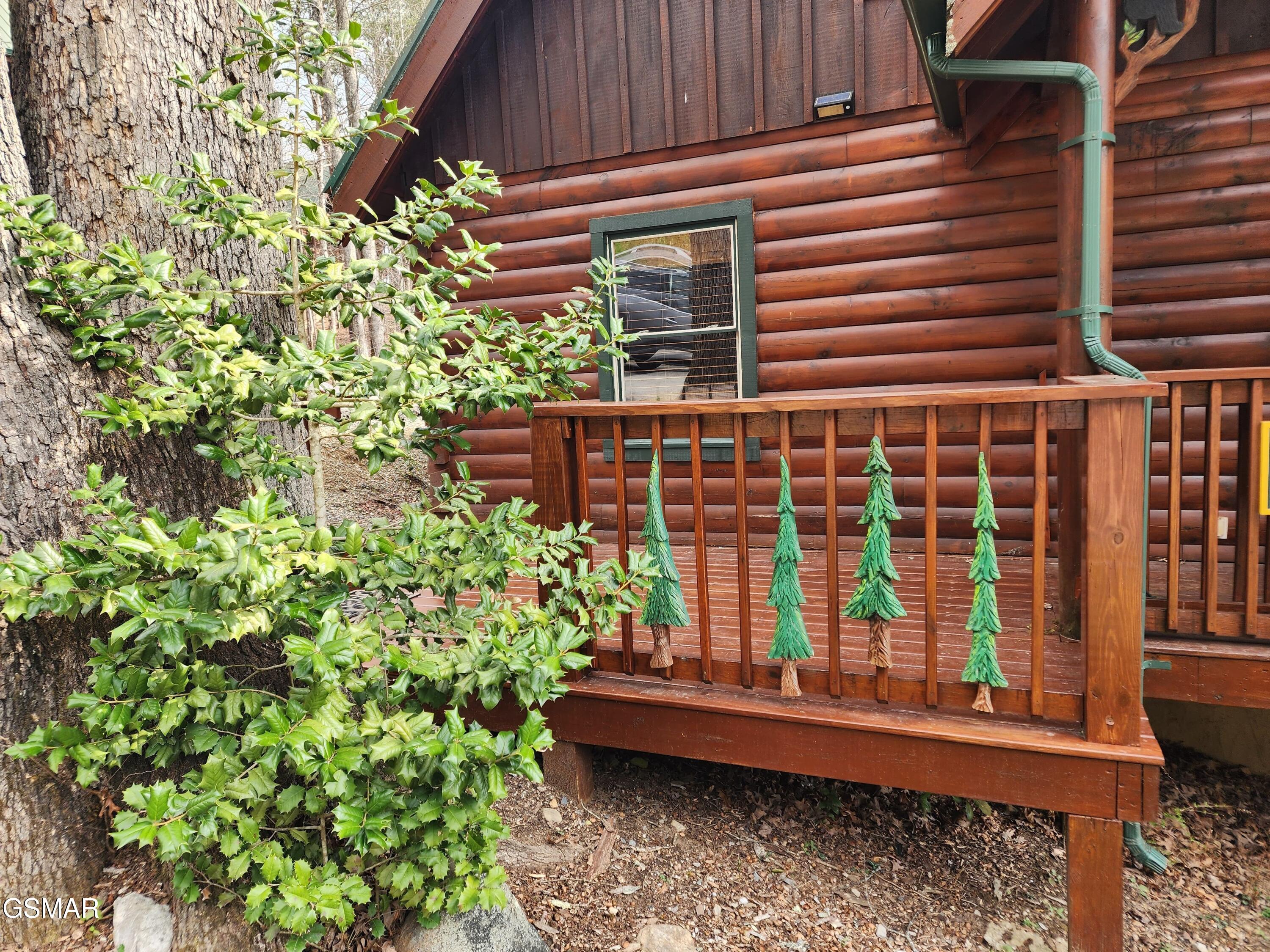 4408 Forest Vista Way Pigeon Forge TN 37863