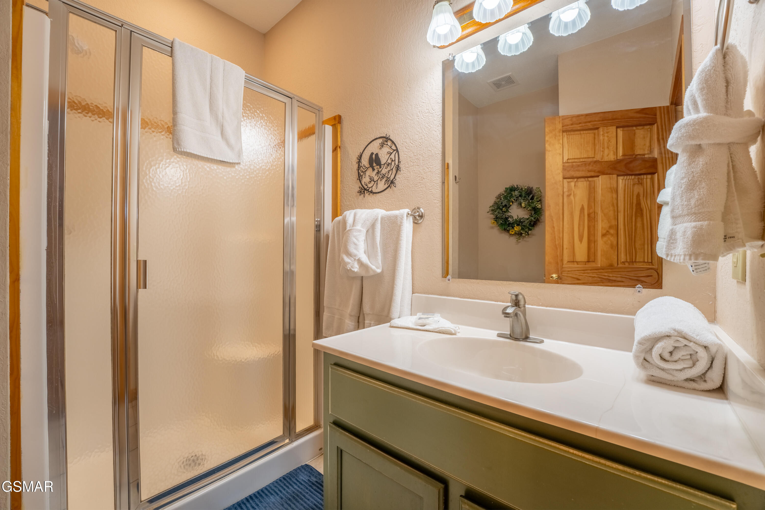 2410 Whitetail Ridge Way Sevierville TN 37862