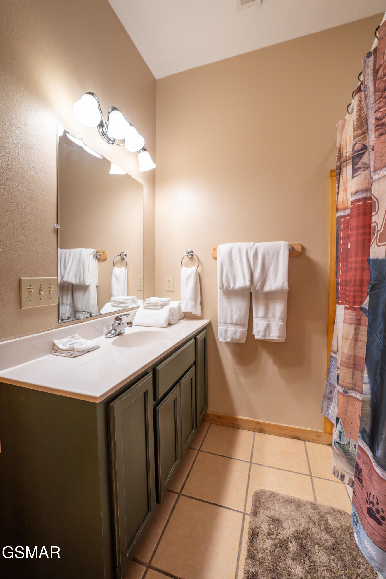 2410 Whitetail Ridge Way Sevierville TN 37862