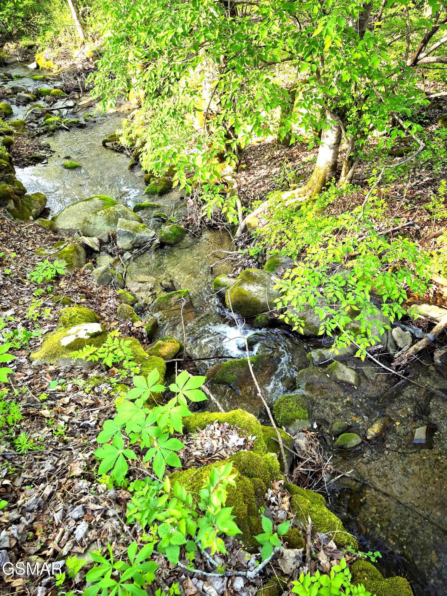 4455 Trail Hollow Road Cosby TN 37722