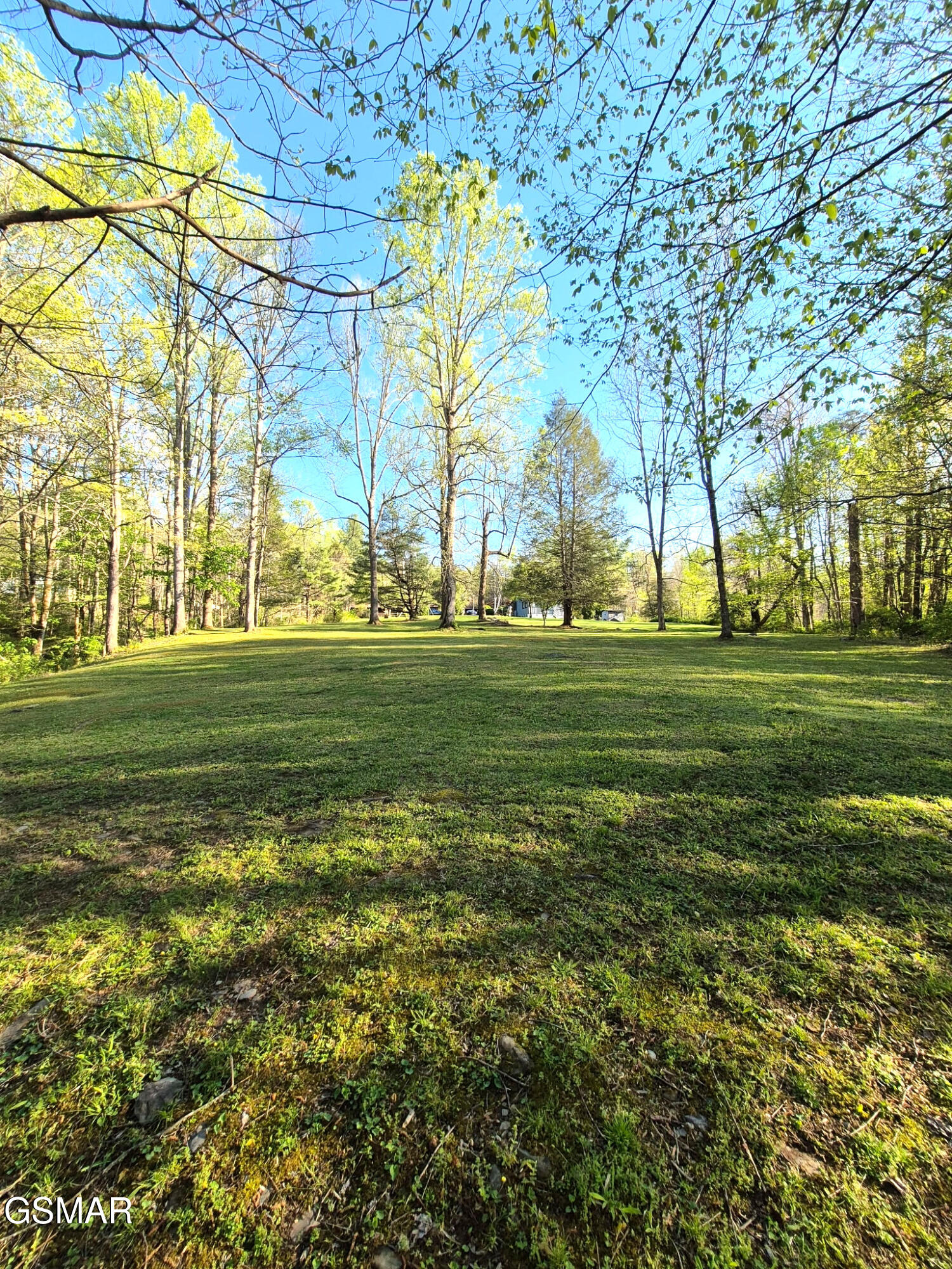4455 Trail Hollow Road Cosby TN 37722