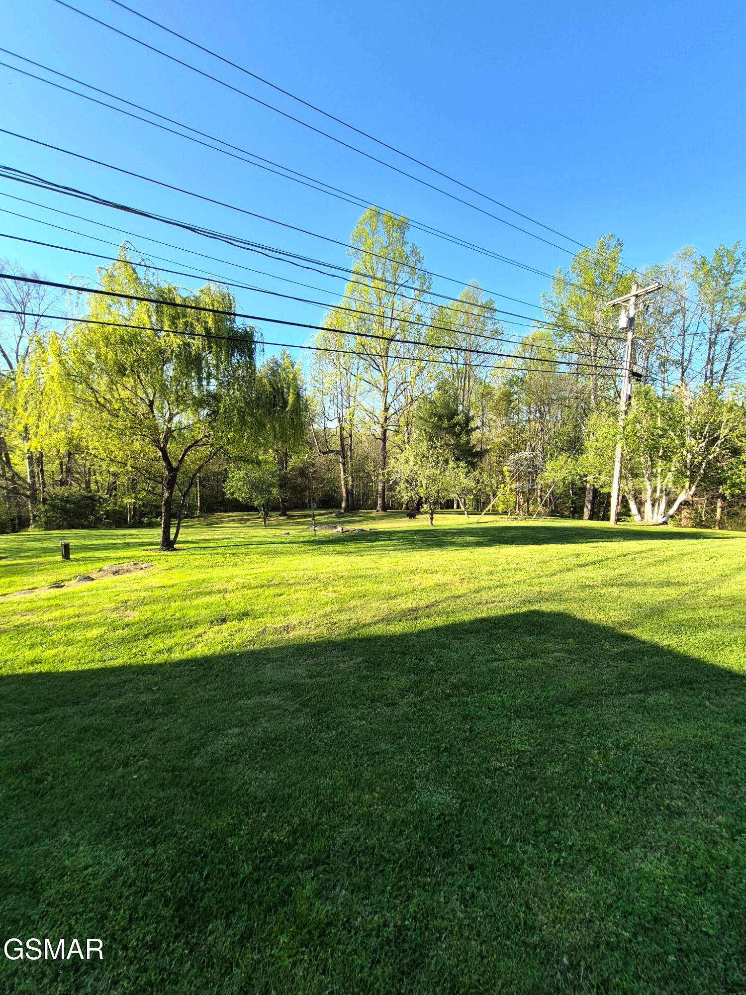 4455 Trail Hollow Road Cosby TN 37722