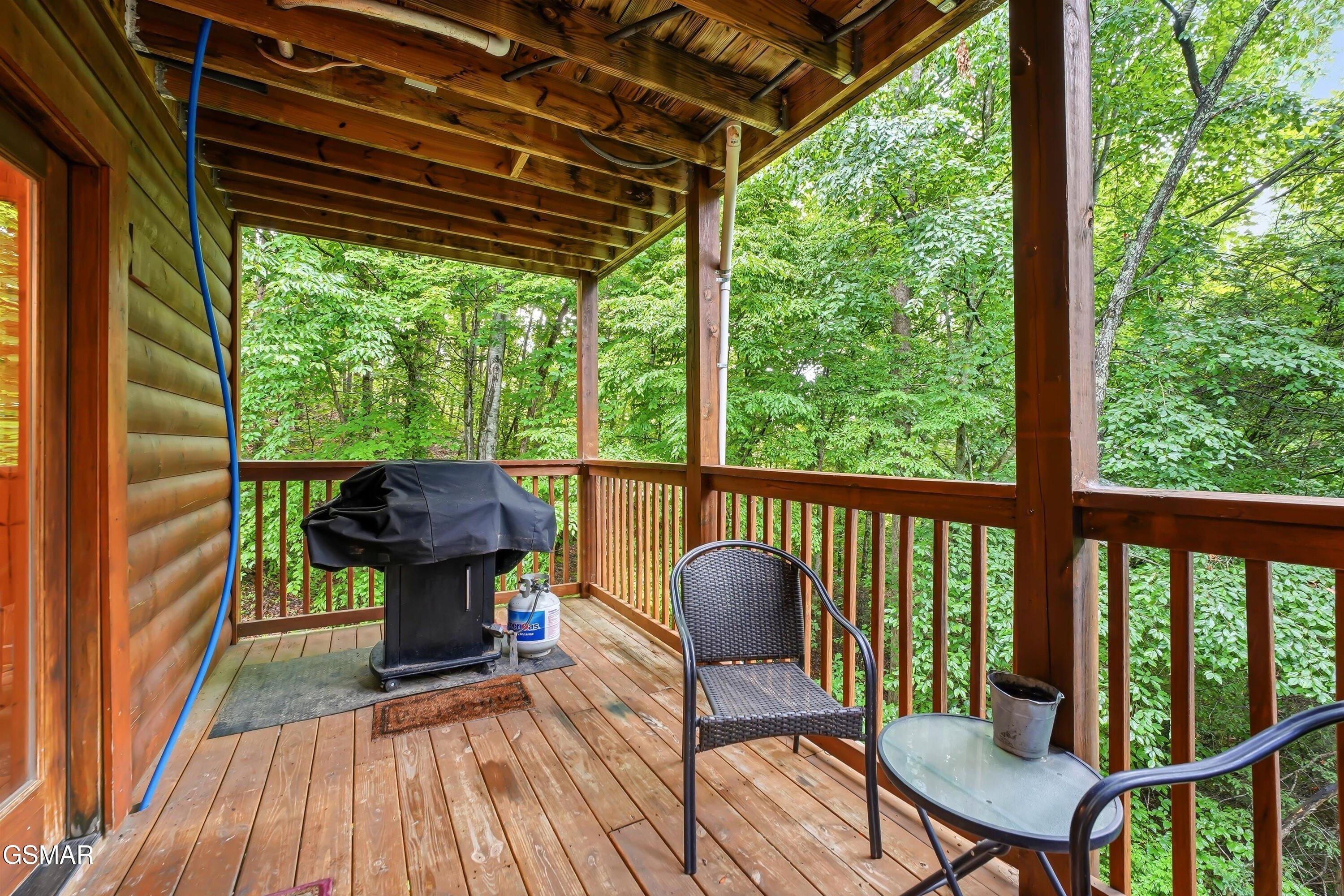 336 Big Bear Way Pigeon Forge TN 37863