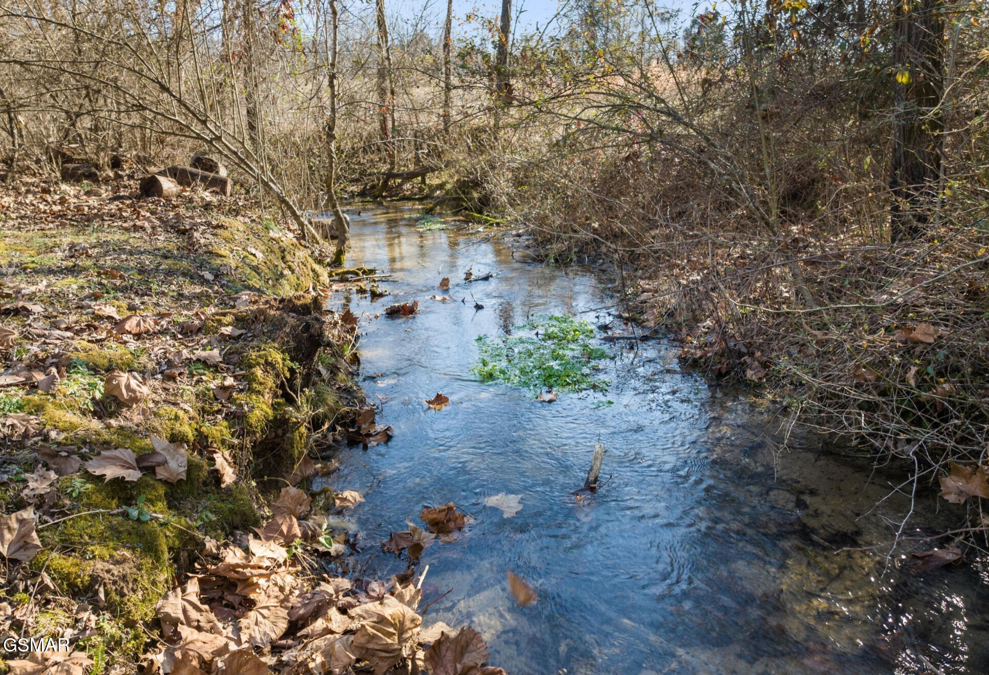 740 Pollard Road Kodak TN 37764