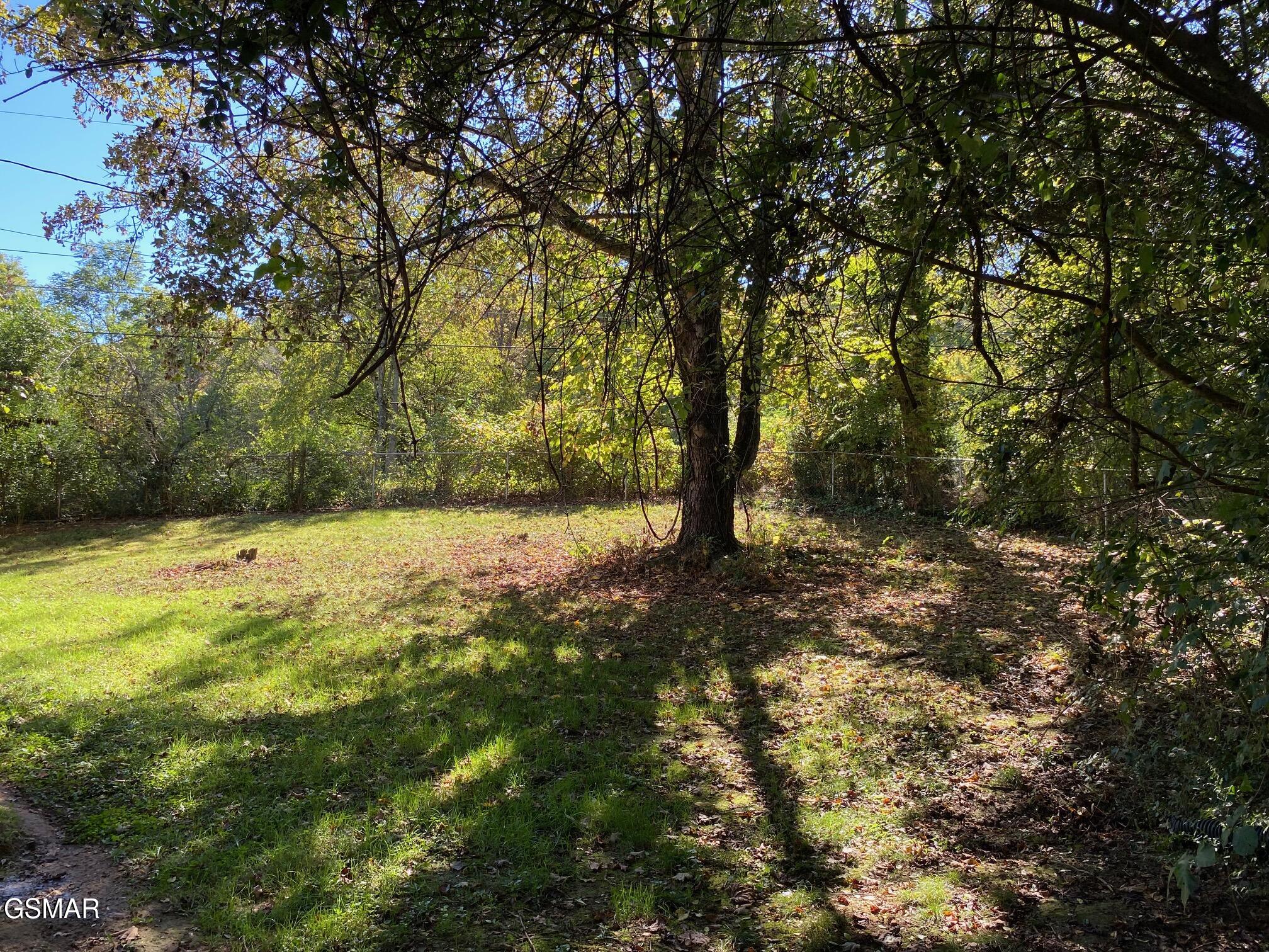 1011 Honeysuckle Drive Newport TN 37821