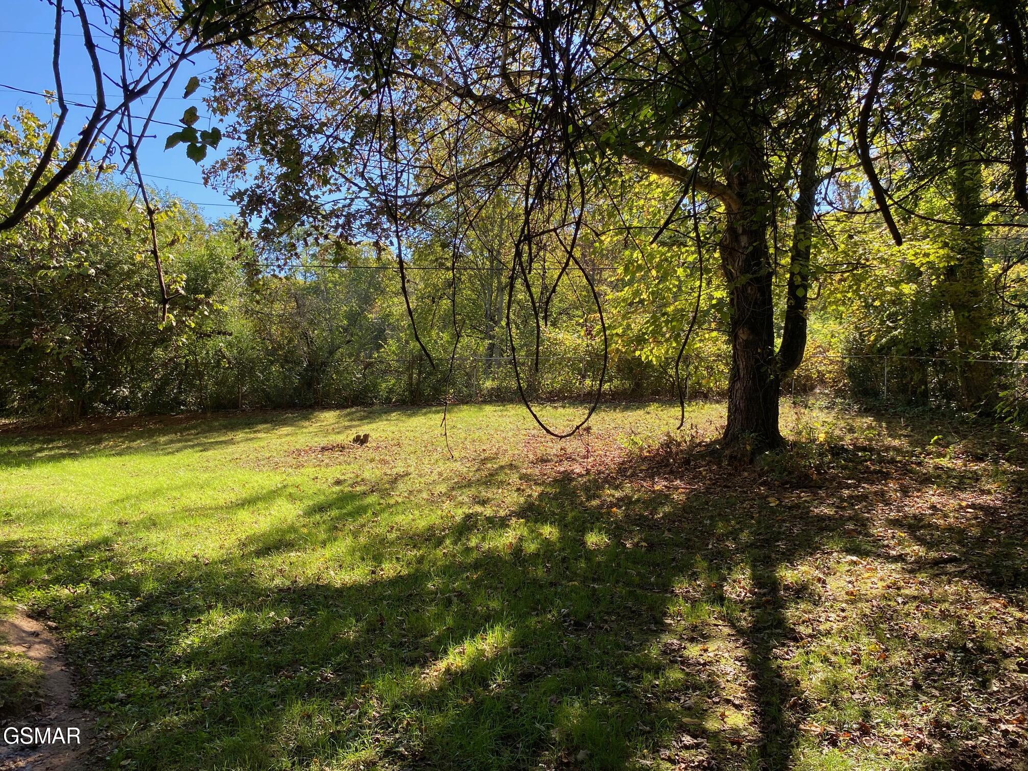 1011 Honeysuckle Drive Newport TN 37821