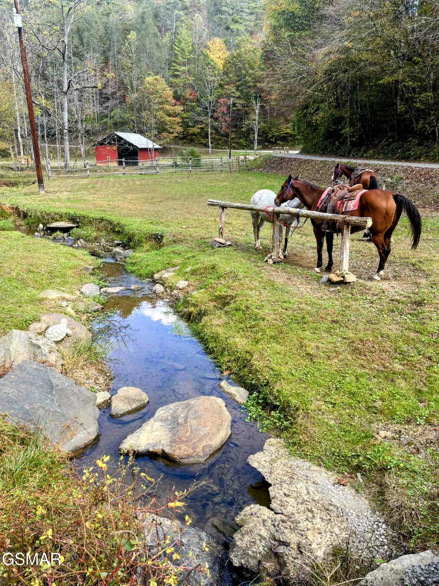 620 Bug Branch Road Del Rio TN 37727