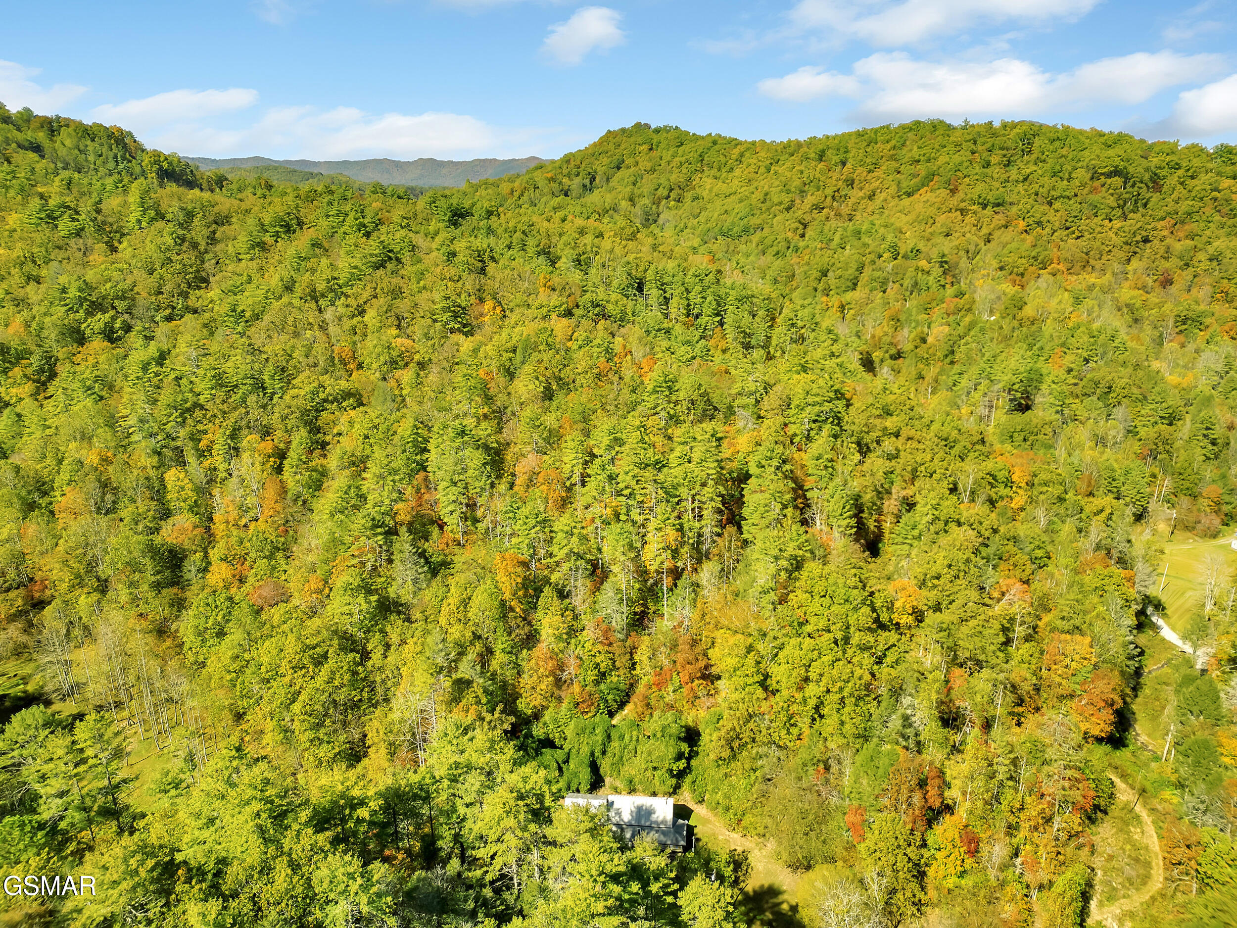 620 Bug Branch Road Del Rio TN 37727