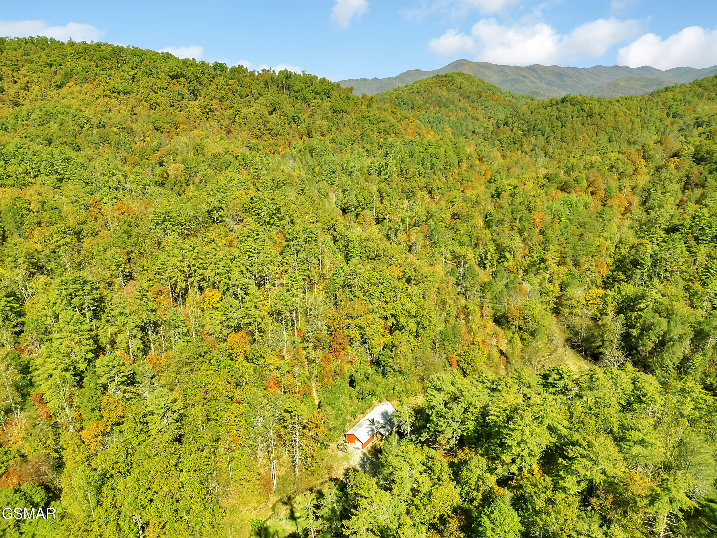 620 Bug Branch Road Del Rio TN 37727