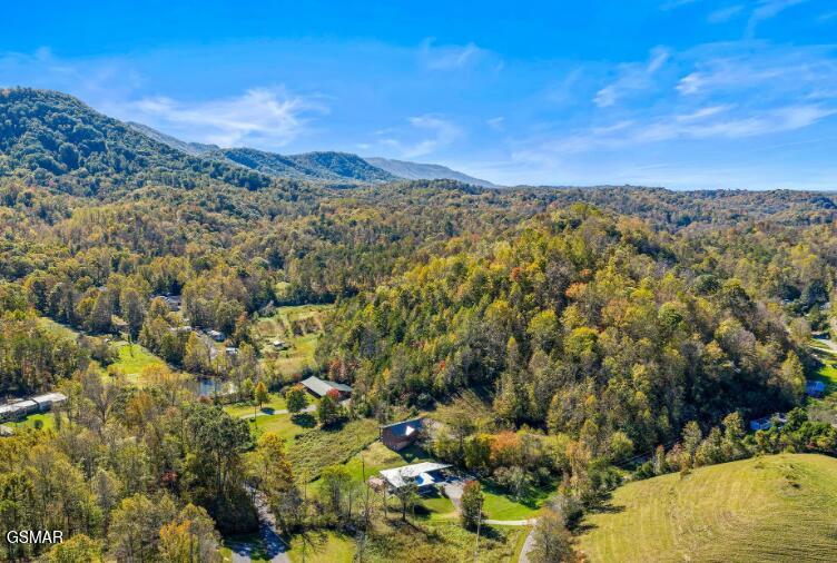 561 Sugar Loaf Road Seymour TN 37865