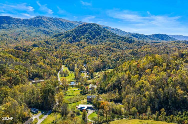 561 Sugar Loaf Road Seymour TN 37865