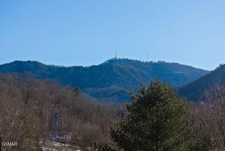 561 Sugar Loaf Road Seymour TN 37865