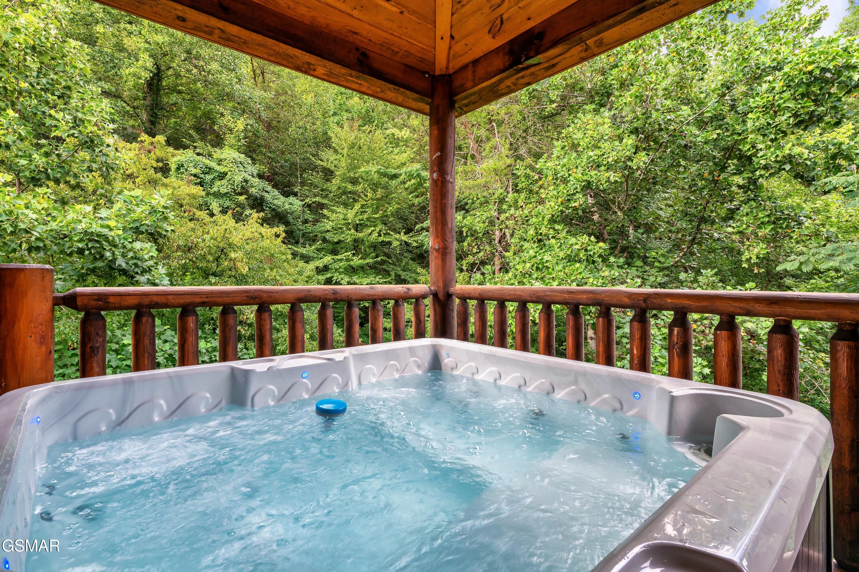 1924 Bear Creek Falls Way Sevierville TN 37876