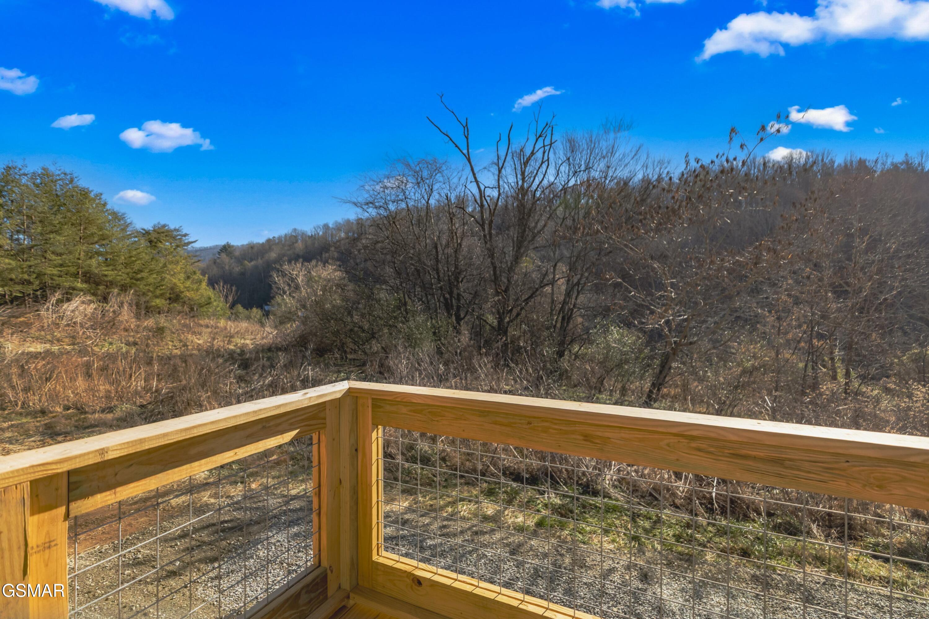 161 Greasy Cove Road Cosby TN 37722