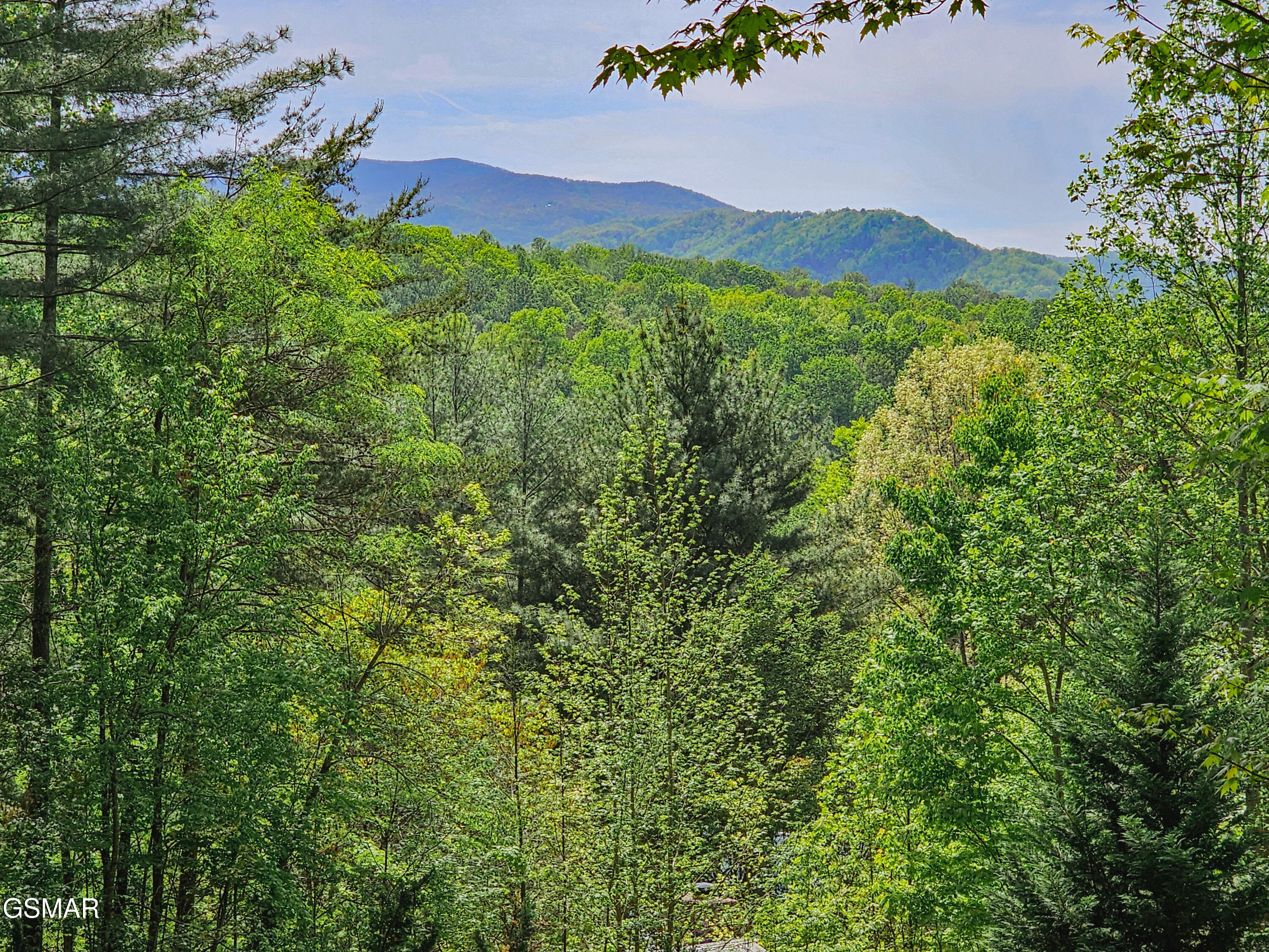 1223 Ski View Lane Sevierville TN 37876