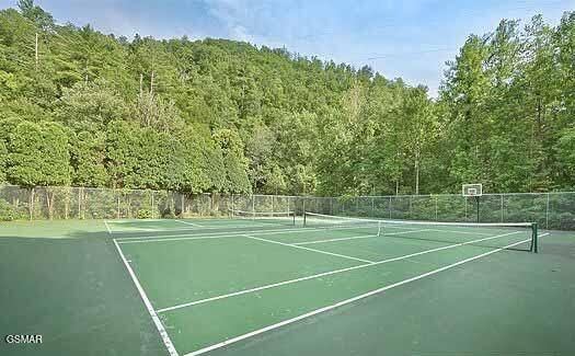 917 Pine Cone Way Gatlinburg TN 37738