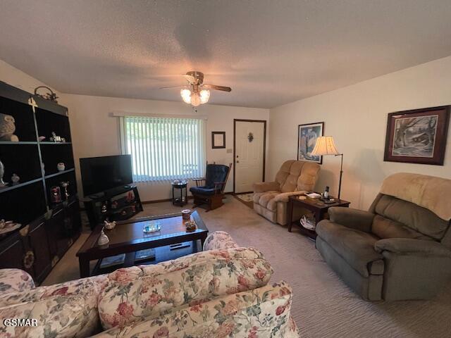 1229 Nashua Drive Seymour TN 37865