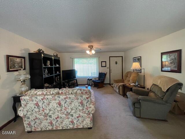 1229 Nashua Drive Seymour TN 37865