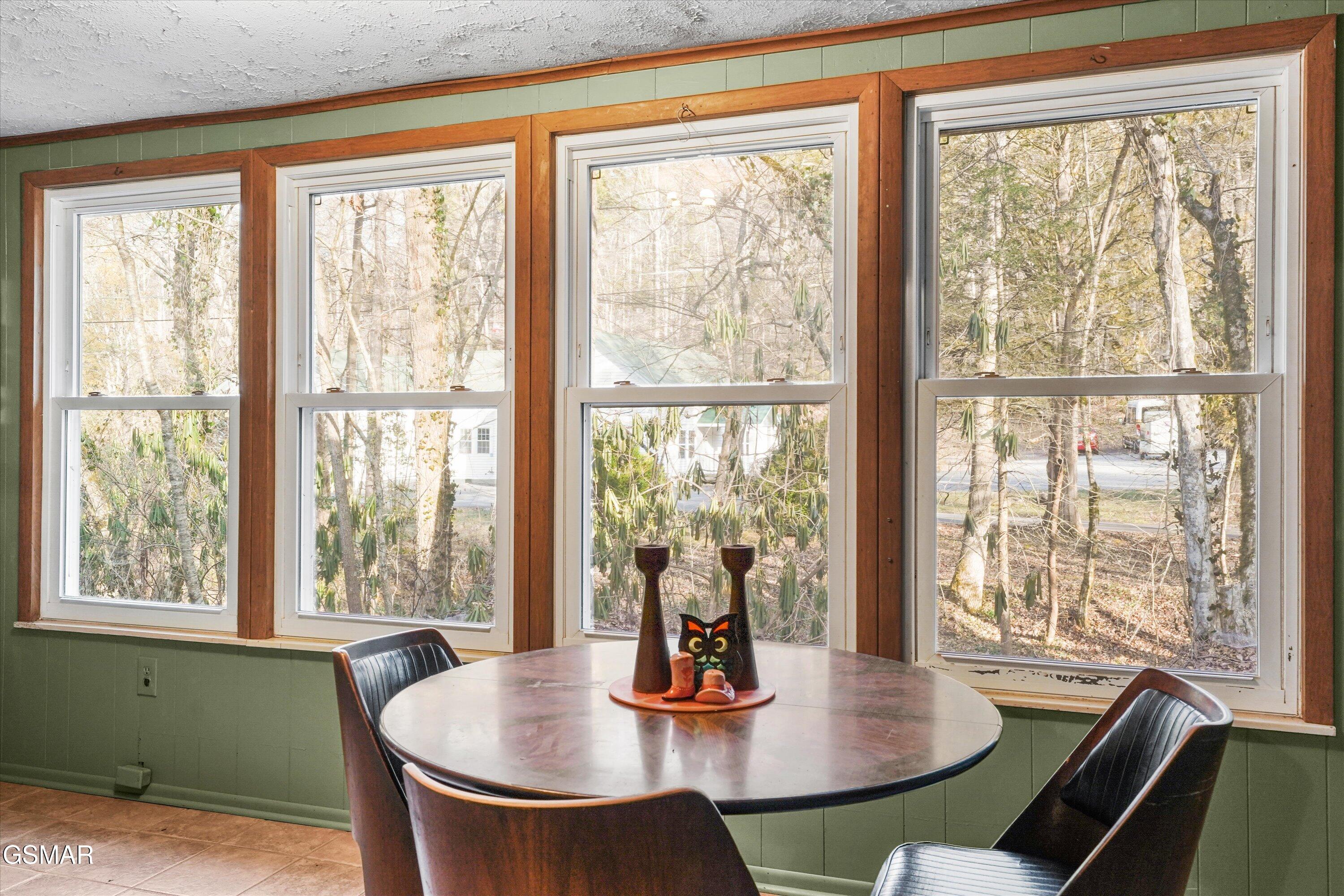 4413 E Scenic Drive Gatlinburg TN 37738