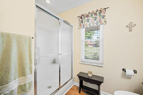 3628 Blue Byrd Lane Kodak TN 37764