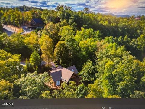 1455 Mountain Dreams Way Sevierville TN 37862
