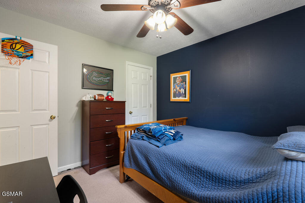 3709 Holgate Lane Powell TN 37849