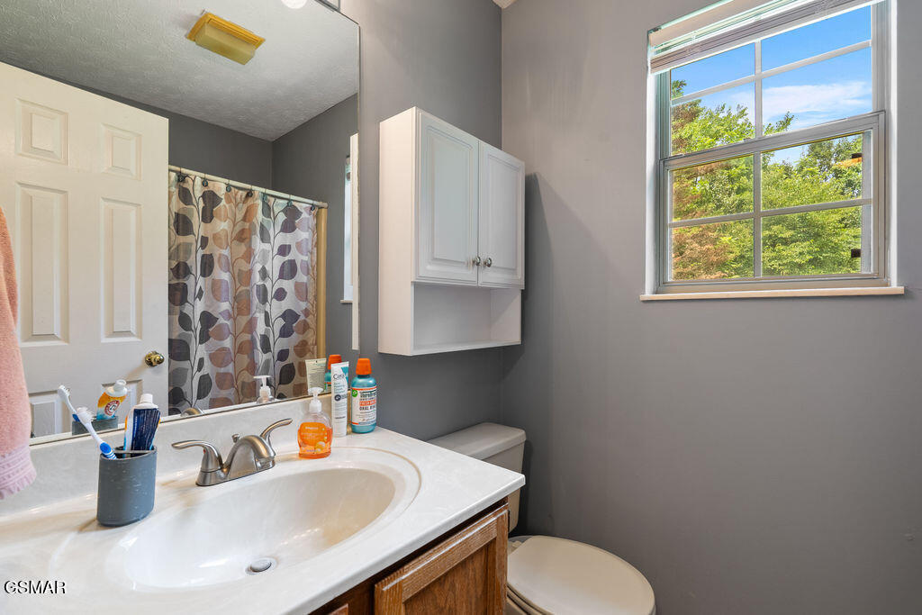 3709 Holgate Lane Powell TN 37849