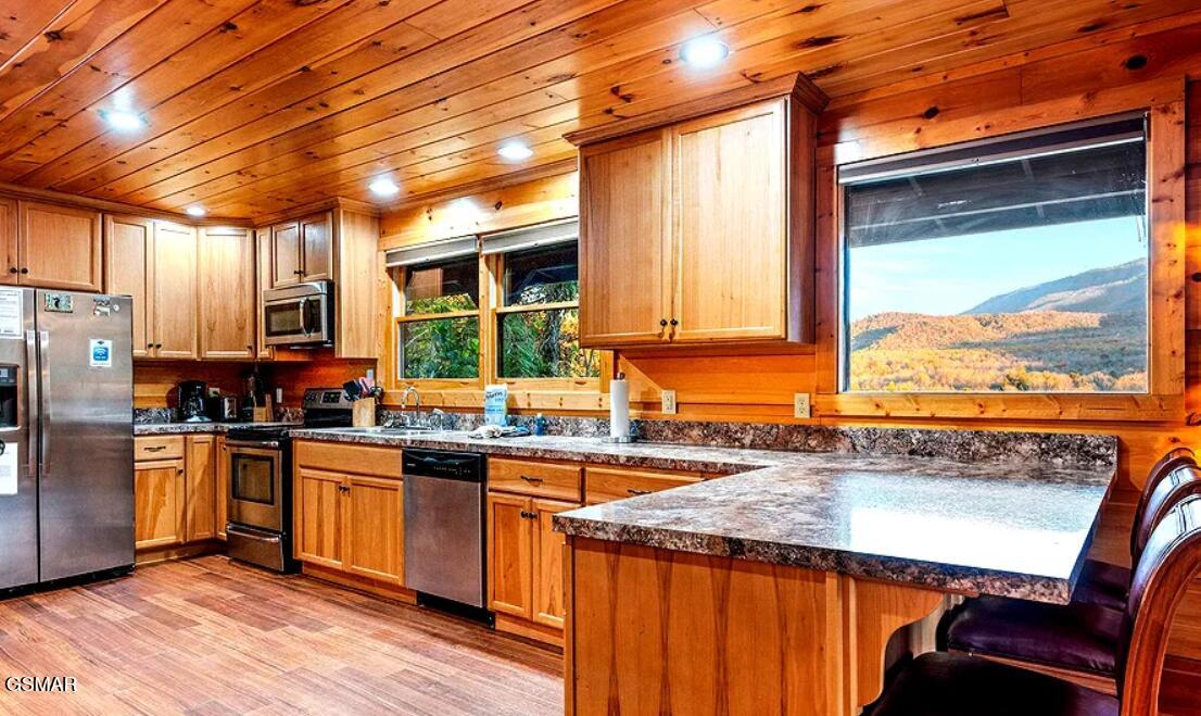 304 Carly Way Gatlinburg TN 37738