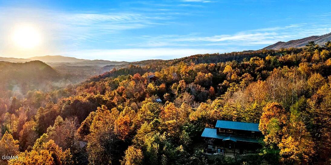 304 Carly Way Gatlinburg TN 37738