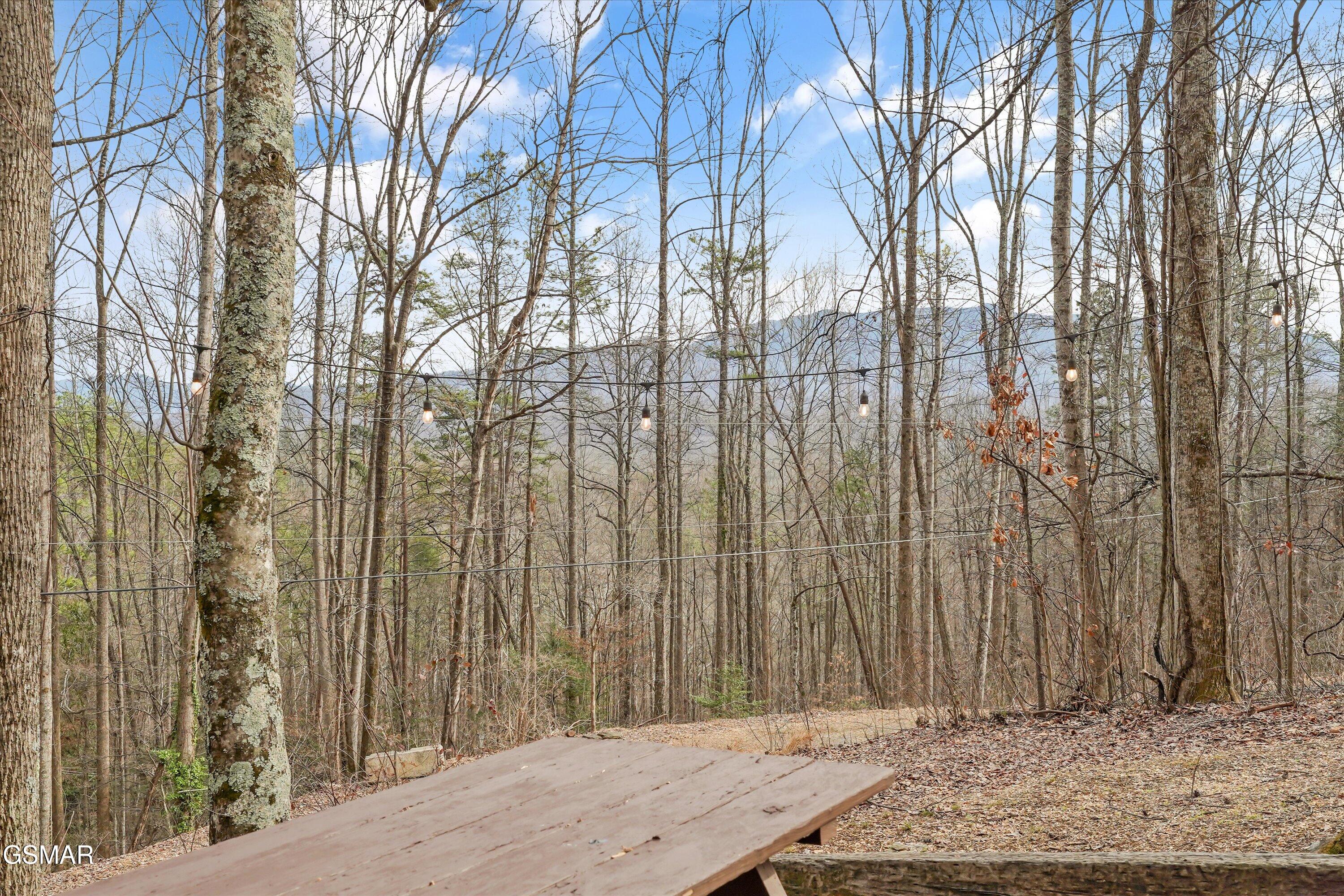 1103 Villa Lane Gatlinburg TN 37738