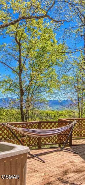 2765 Grassy Branch Loop Sevierville TN 37876