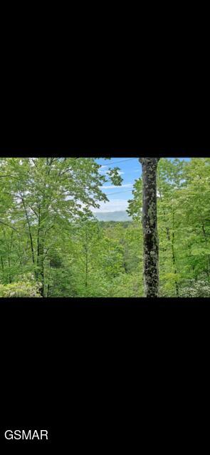 2765 Grassy Branch Loop Sevierville TN 37876