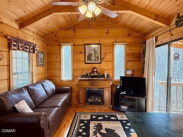 1041 Ridgefield Drive Sevierville TN 37876